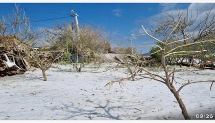 Aniden bastıran dolu yağışı Antalyayı beyaza bürüdü