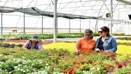 Antalyada çiçeğin Rio Karnavalı başlıyor