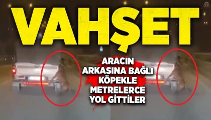 Aracın arkasına bağlı köpekle metrelerce yol gittiler