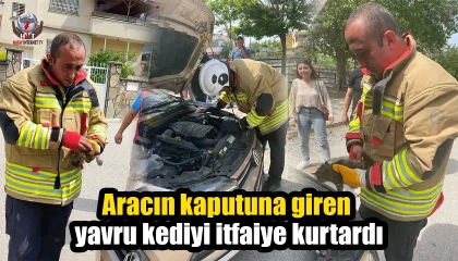 Aracın kaputuna giren yavru kediyi itfaiye kurtardı