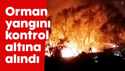 Arsuzda çıkan orman yangını kontrol altına alındı