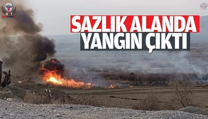 Arsuzda sazlık yangını