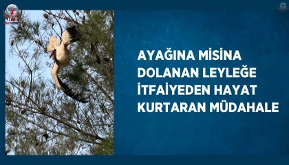 Ayağına misina dolanan leyleğe itfaiyeden hayat kurtaran müdahale