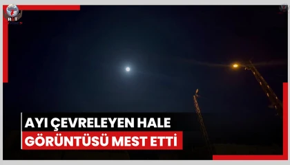 Ayı çevreleyen hale görüntüsü mest etti