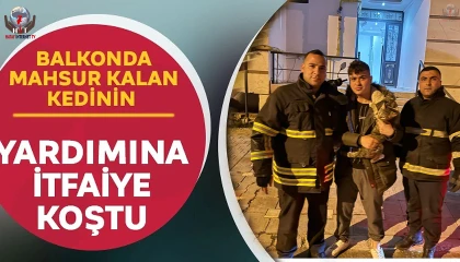 Balkonda mahsur kalan kediyi itfaiye kurtardı