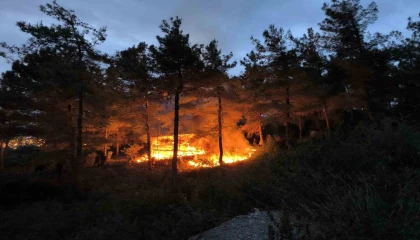 Barakadan yükselen alevler ormana sıçramadan
