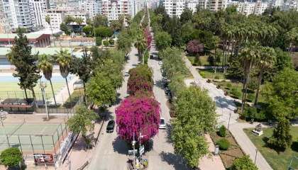 Begonvili gören kadın kendini yeniden doğmuş gibi hissetti