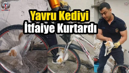 Bisikletin jant teline sıkışan yavru kediyi itfaiye kurtardı