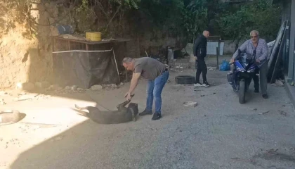Böylesi ilk defa görüldü, motosikletini sakladığı yer jandarmayı bile şaşkına çevirdi