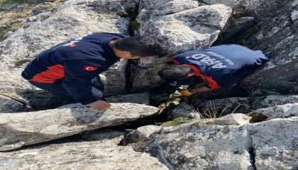Burdurda kayalıklar arasında sıkışan keçi kurtarıldı