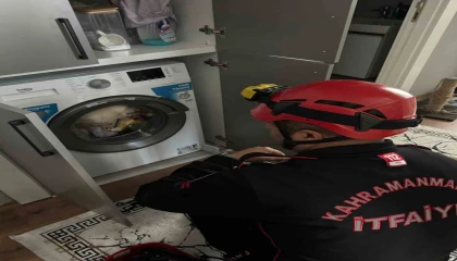 Çamaşır makinesindeki kedi kurtarıldı