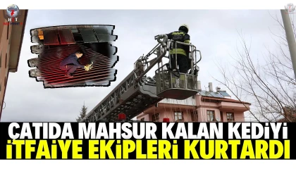 Çatıda mahsur kalan kediyi itfaiye kurtardı