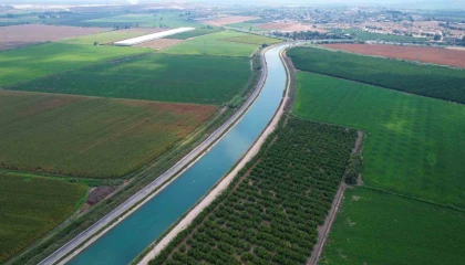 Çukurovada yağan yağmurlar tarım ürünlerine can suyu oldu