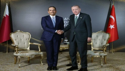 Cumhurbaşkanı Erdoğan, Katar Başbakanı El Saniyi kabul etti