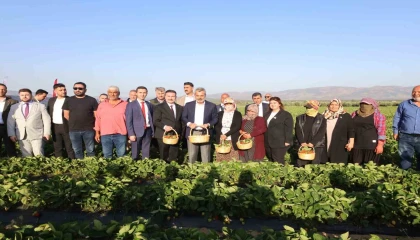Hatay'da Depremzedelere HBB'nin Çilek Fidesi Desteği ile İlk Hasat Gerçekleştirildi