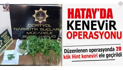 Dörtyolda hint keneviri operasyonu