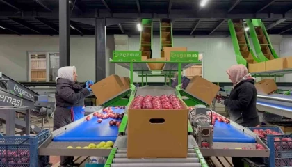 Eğirdirde elma bahçelerine organik dokunuş, kimyasal yerine hümik asit projesi hayata geçiyor