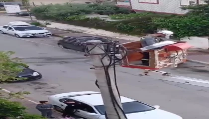 Elektrik tellerine takılan kumru için kurtarma operasyonu