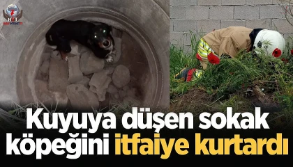 Erzinde kuyuya düşen köpeği itfaiye kurtardı