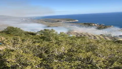 Gazipaşada muz bahçesindeki yangın makilik alana sıçradı