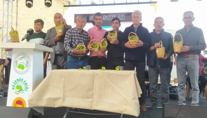 Gezende Erik Festivalinin 15incisi gerçekleştirildi