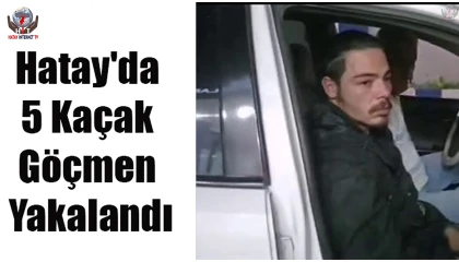 Hatayda 5 kaçak göçmen yakalandı