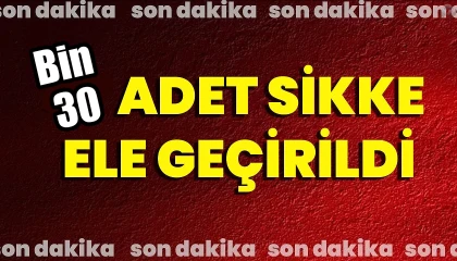 Hatayda bin 30 adet sikke ele geçirildi