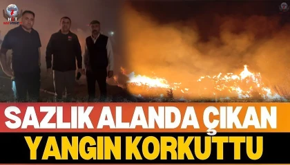 Hatay'da Sazlık alanda çıkan yangın büyümeden kontrol altına alındı