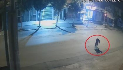 İşe gitmek için servis bekleyen genç kadına ve babasına bıçakla saldıran şüpheli tutuklandı