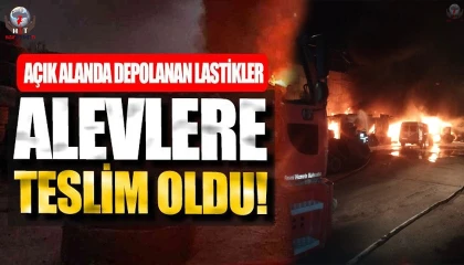 İskenderunda lastikçi alevlere teslim oldu
