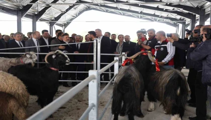 Kıran kırana kurban pazarlıklı pazar açılışı