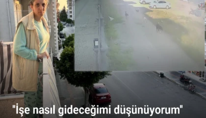 Köpek saldırısında yaşadığı korku dolu anları unutamayan kadın sokağa çıkamıyor