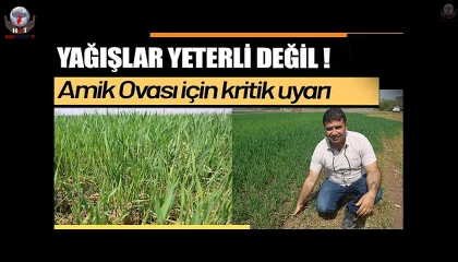 Kuraklığın etkisiyle yarıkların oluştuğu Amik Ovası için bilim adamından kritik uyarı