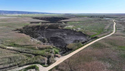 Kuş cenneti Göksu Deltası, yangın sonrası dronla görüntülendi