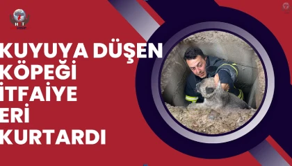 Kuyuya düşen yavru köpekleri itfaiye kurtardı