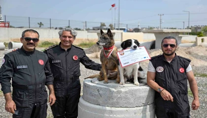 Mersin itfaiyesinin kahraman patileri Ares ve Rexten önemli başarı