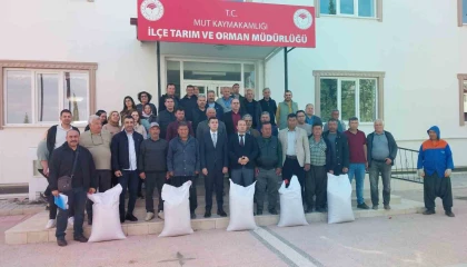 Mersin Mutta üreticiye tohum desteği