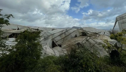 Mersinde fırtına etkili oldu, seralar zarar gördü
