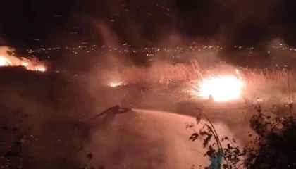 Mersinde sazlık alanda çıkan yangın güçlükle söndürüldü