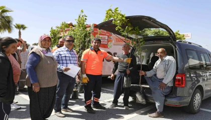 Mersinde üreticilere Trabzon hurması fidanı dağıtılıyor