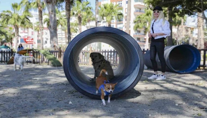 Mersinden patili dostlara özel oyun parkı