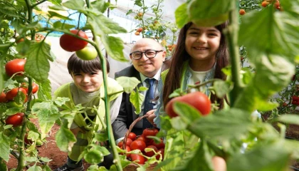 Minikler Çocuk Serasında yetiştirdikleri ürünleri hasat etti