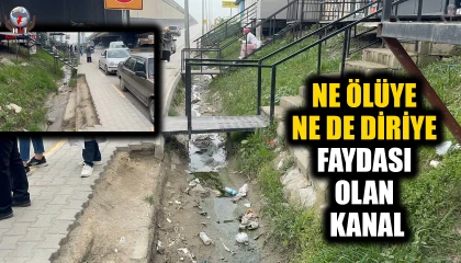 NE ÖLÜYE NE DE DİRİYE FAYDASI OLAN KANAL