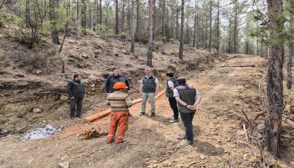 Orman Bölge Müdürü Ataş, Mutta incelemelerde bulundu