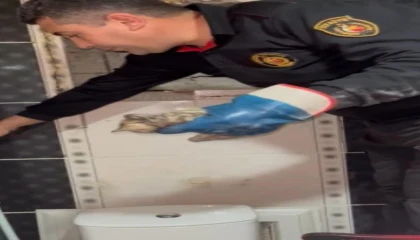 Osmaniyede mahsur kalan yavru kediyi itfaiye ekipleri kurtardı