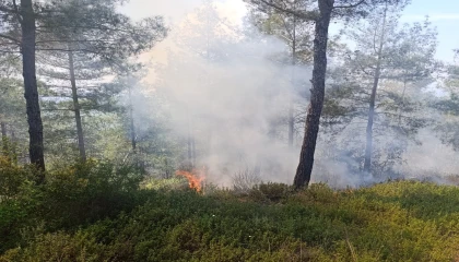 Osmaniyede ormanlık alanda çıkan yangın söndürüldü