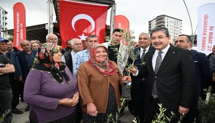 Osmaniyede üreticiye 11 bin 500 sertifikalı zeytin fidanı dağıtıldı