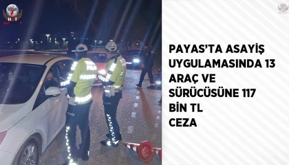 Payasta asayiş uygulamasında 13 araç ve sürücüsüne 117 bin TL ceza