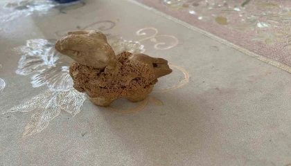 Şahruhiye Şehri Kazı Projesi sinde kazılar yeniden başlayacak