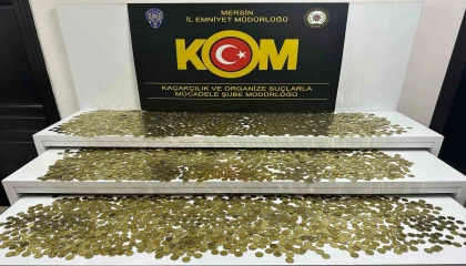 Sahte madeni euro operasyonunda bir şüpheli tutuklandı